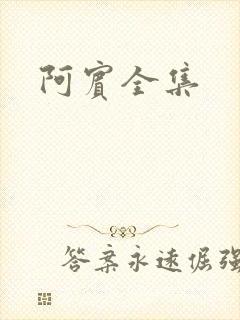 阿宾全集封面