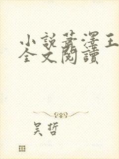 小说萧泽王雪凤全文阅读封面