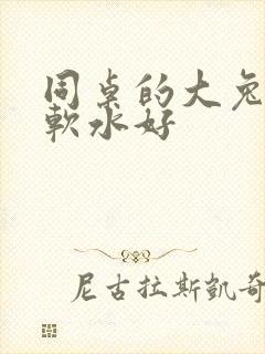 同桌的大兔子好软水好