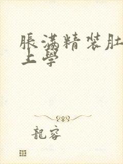 胀满精装肚子去上学封面