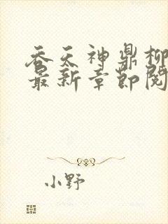 吞天神鼎柳无邪最新章节阅读