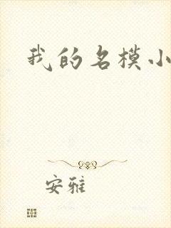 我的名模小娇妻