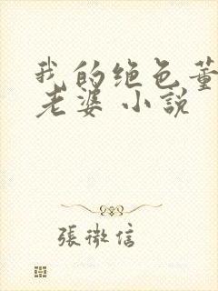 我的绝色董事长老婆 小说封面