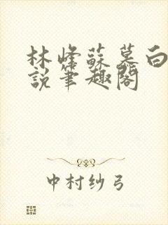 林峰苏慕白的小说笔趣阁