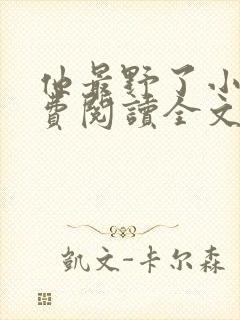 他最野了小说免费阅读全文