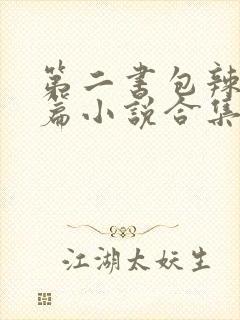 第二书包辣网短篇小说合集