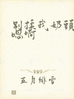 别揉我奶头嗯啊嗯啊