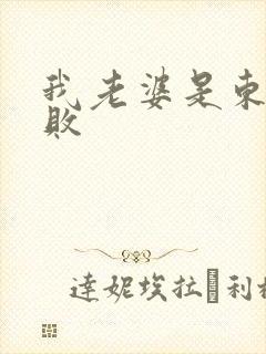 我老婆是东方不败封面