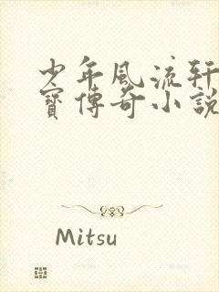 少年风流轩辕大宝传奇小说