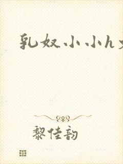 乳奴小小h文