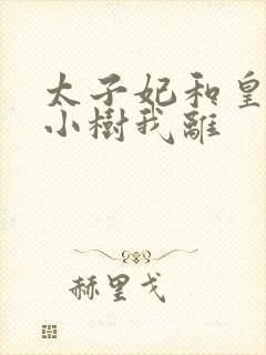 太子妃和皇上在小树我离封面