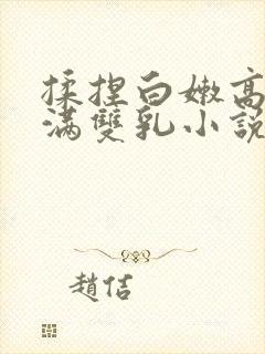 揉捏白嫩高耸饱满双乳小说