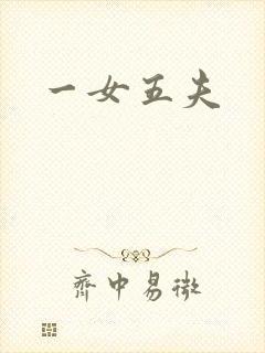 一女五夫封面