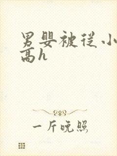 男婴被从小调教高h