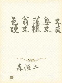 色翁荡息又大又硬又粗又爽小莹