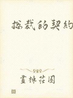 总裁的契约情人