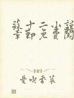 苏十二小说最新章节免费阅读全文封面