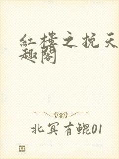 红楼之挽天倾笔趣阁