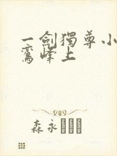 一剑独尊小说青鸾峰上