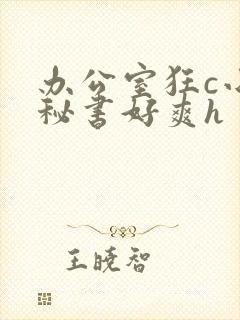 办公室狂c小雪秘书好爽h封面