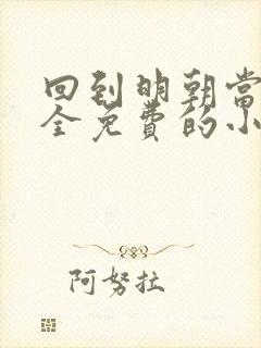 回到明朝当王爷全免费的小说封面