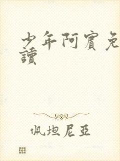 少年阿宾免费阅读
