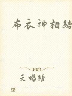 布衣神相结局封面
