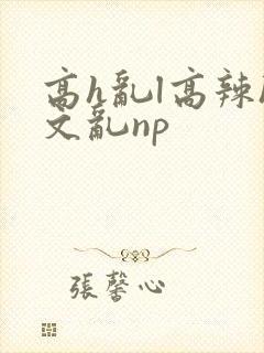 高h乱l高辣h文乱np封面