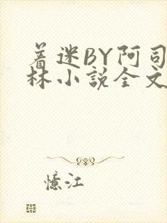 着迷BY阿司匹林小说全文免费阅读