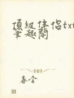 顶级伴侣txt笔趣阁封面