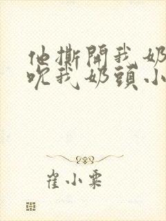 他撕开我奶罩揉吮我奶头小说