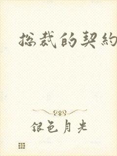 总裁的契约情人封面