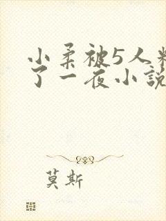 小柔被5人糟蹋了一夜小说封面