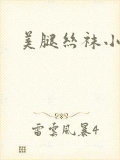 美腿丝袜小说封面