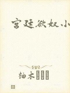 宫廷欲奴小说封面