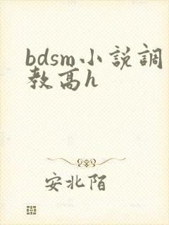 bdsm小说调教高h