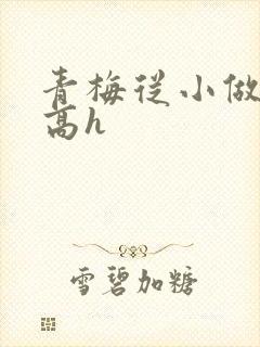 青梅从小做到大高h