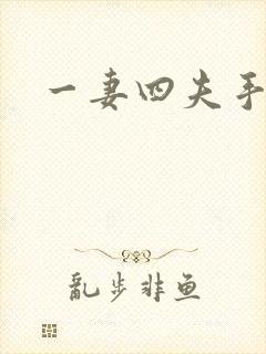 一妻四夫手记