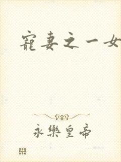 宠妻之一女二夫