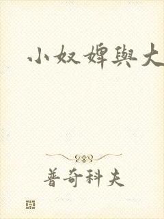 小奴婢与大少爷