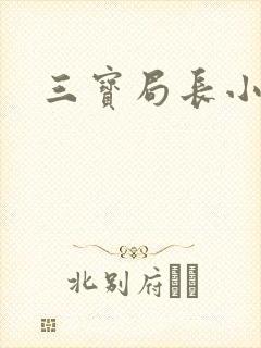 三宝局长小说封面