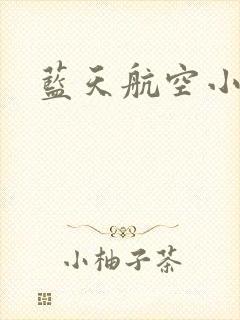 蓝天航空小说封面