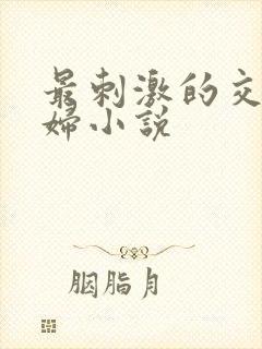 最刺激的交换夫妇小说