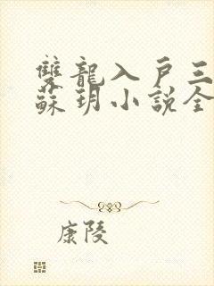 双龙入户三人行苏玥小说全文阅读