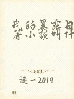 我的暴露日记原著小说叫什么