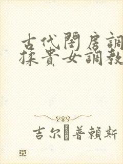古代闺房调教h揉贵女调教记封面
