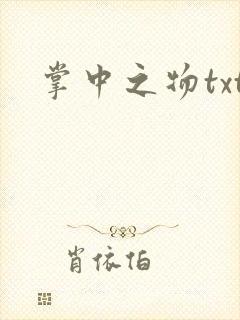 掌中之物txt封面