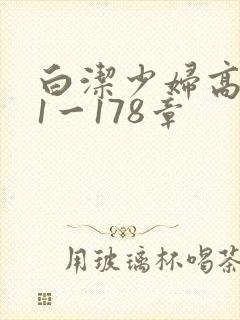 白洁少妇高义第1一178章