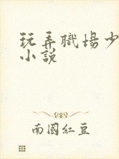 玩弄职场少妇的小说