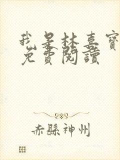 我是林喜宝小说免费阅读封面